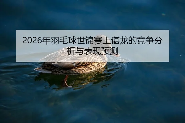 nian-yu-mao-qiu-shi-jin-sai-shang-chen-long-de-jing-zheng-fen-xi-yu-biao-xian-yu-ce-2-393.jpg