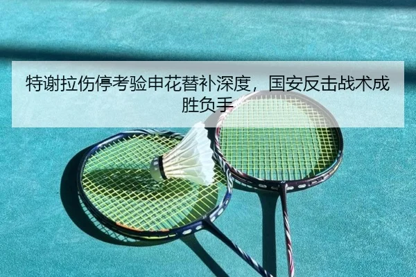 特谢拉伤停考验申花替补深度，国安反击战术成胜负手