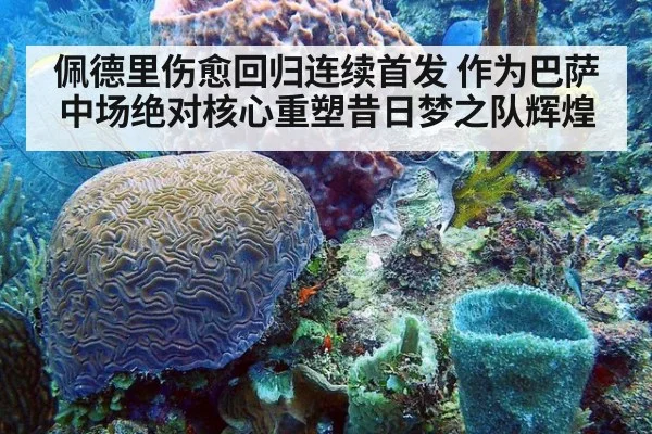 佩德里伤愈回归连续首发 作为巴萨中场绝对核心重塑昔日梦之队辉煌
